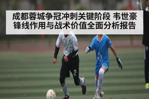 成都蓉城争冠冲刺关键阶段 韦世豪锋线作用与战术价值全面分析报告